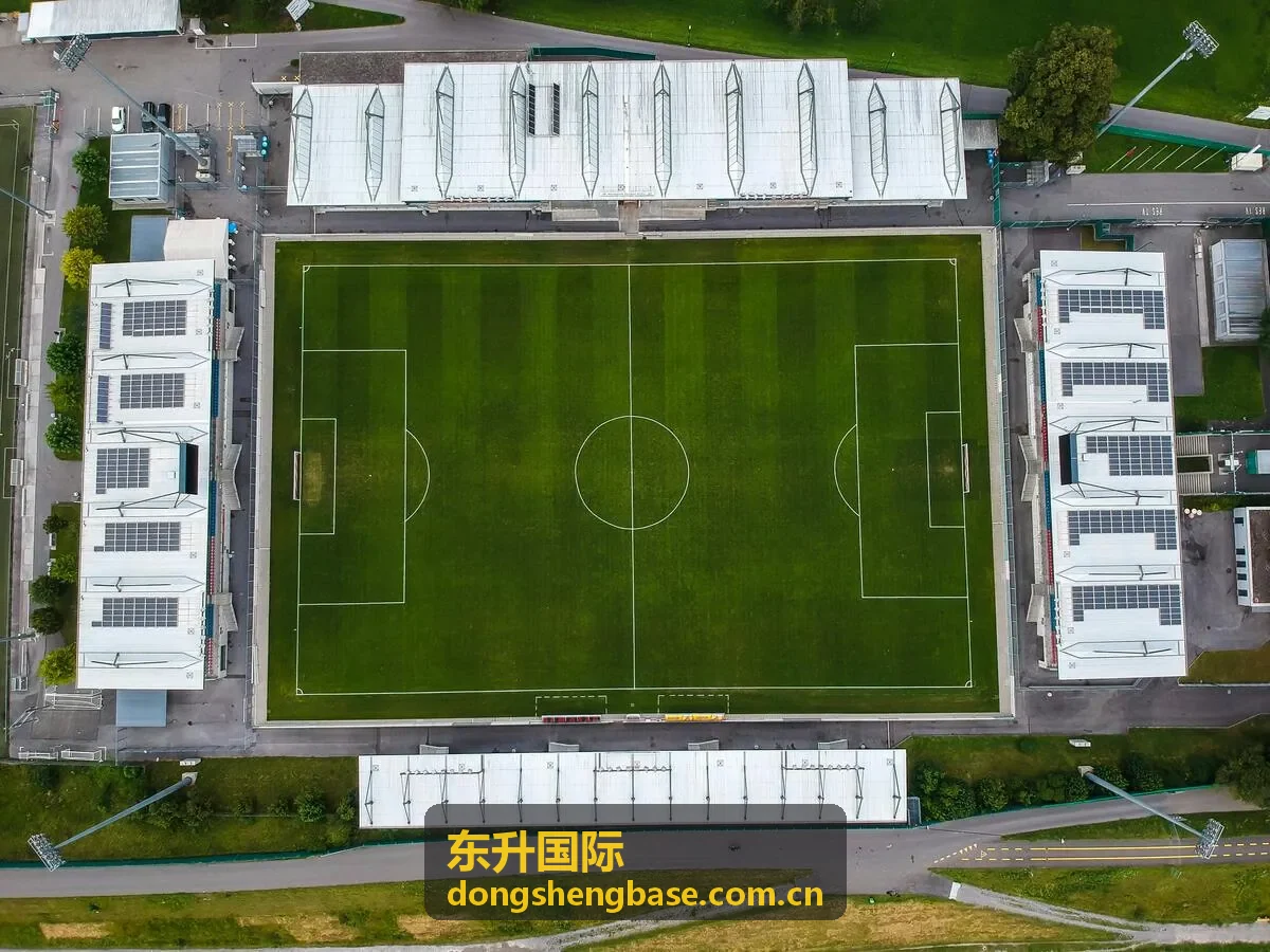 东升国际会员权益服务展示